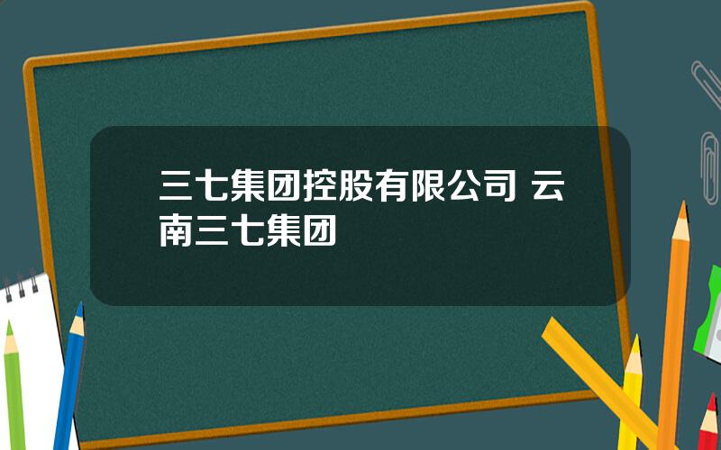 三七集团控股有限公司 云南三七集团